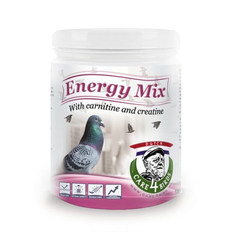 Energy Mix