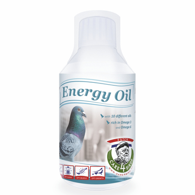 energy-oil