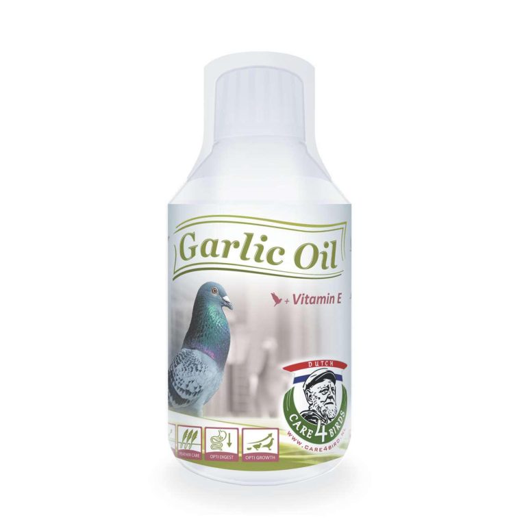 garlic-oil
