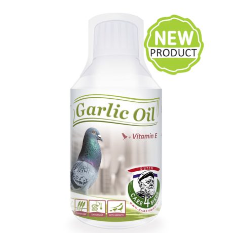 Garlic Oil