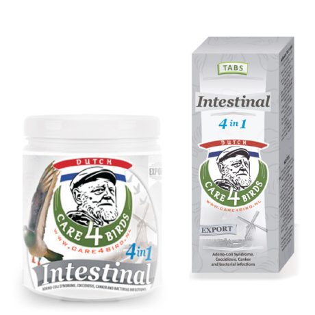 Intestinal