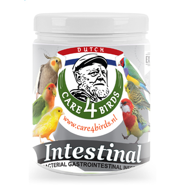 Intestinal